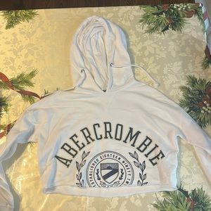 Abercrombie & Fitch Cropped Hoodie